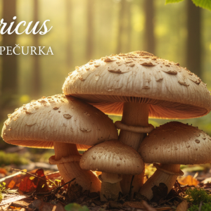 Masna jetra i ishrana