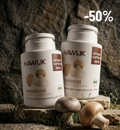Agaricus, Sunčeva pečurka, kupite dve po ceni jedne