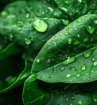 Sanovotone prečišćivači vazduha efikasno uklanjaju zagađivače iz prostora, obezbeđujući čistiji, svežiji i zdraviji vazduh za svakodnevni boravak.