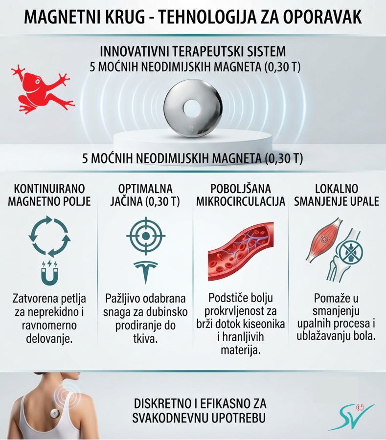 Magnetni krug - tehnologija za oporavak
