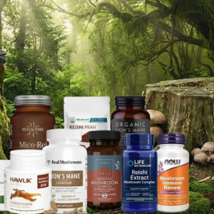 Medicinske gljive u kapsulama ili prahu?