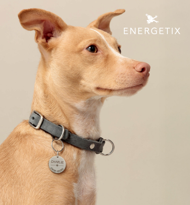 Energetix nakit za ljubimce spaja stil, energiju i zaštitu u jednom prefinjenom komadu.