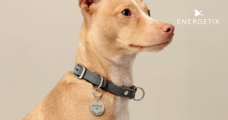 Energetix nakit za kućne ljubimce kombinuje estetiku i energiju, pružajući vašem ljubimcu stil, udobnost i harmoničnu zaštitu svaki dan.