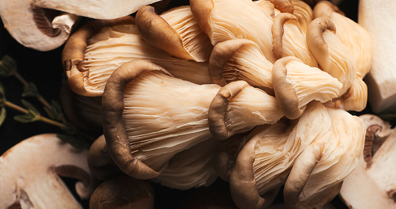 Sanovita dijetetski suplementi predstavljaju vrhunski spoj prirode i nauke, kreirani da pruže ciljanu podršku vašem zdravlju i vitalnosti svakog dana.