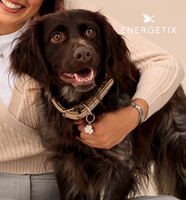 Energetix magneti za kućne ljubimce donose više vitalnosti i podršku svakodnevnom zdravlju vaših ljubimaca.