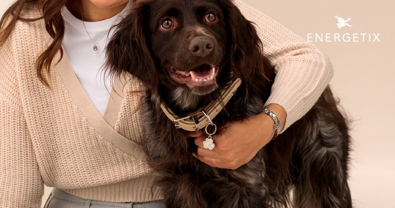 Energetix magneti za kućne ljubimce donose više vitalnosti i podršku svakodnevnom zdravlju vaših ljubimaca.