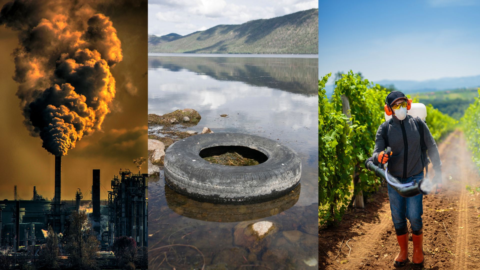 Detox(amin) kao osnov zdravog i dugog života
