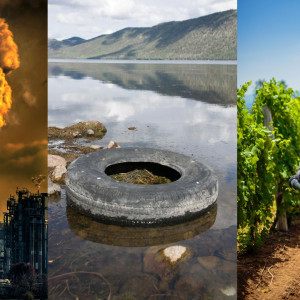 Detox(amin) kao osnov zdravog i dugog života